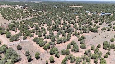 DJI_20240706114347_0036_D
