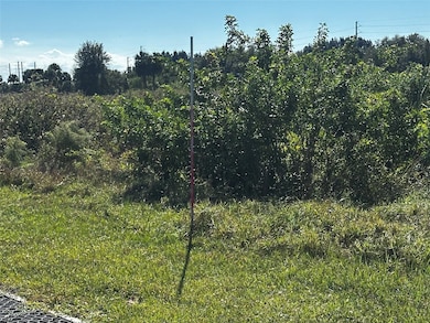 6674 SE 33rd Trace, Okeechobee, FL 34974 - photo 3