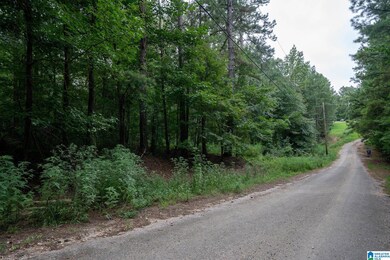 0 Penny Ln unit 21427542, Odenville, AL 35120 - photo 3