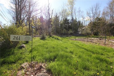 Garden/Lawn Area