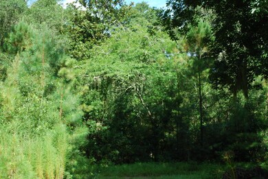 134 Dodge Rd, Saint Simons Island, GA 31522 - photo 5