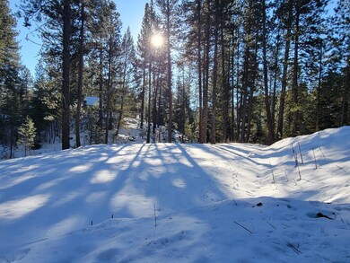 230 Ponderosa Ln unit 4, Cascade, ID 83611 - photo 4