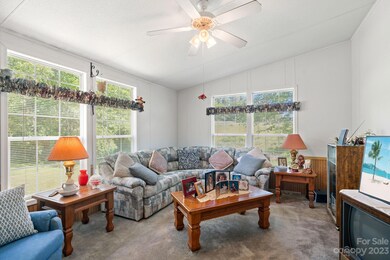 31 Frank Lawson Ln, Leicester, NC 28748 - photo 6