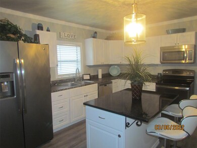 14 Liloa Ln, Sadler, TX 76264 - photo 4