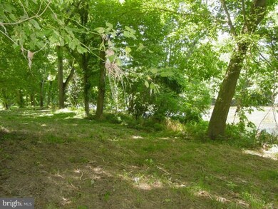 0 Deer Meadow Dr unit 1004492098, Strasburg, VA 22657 - photo 4