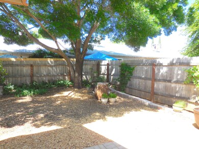 Back yard