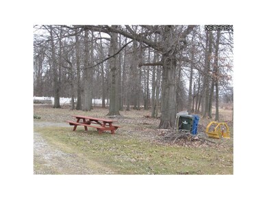 SIDE YARD