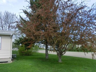 Additional Photo