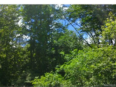 9789 Dow Rd, Freedom, NY 14065 - photo 6