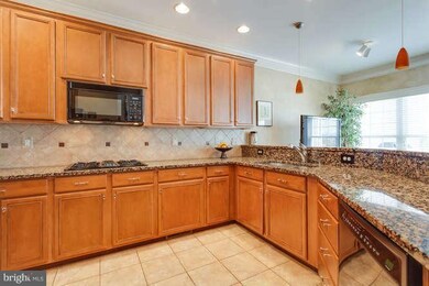 25619 Creek Run Terrace, Chantilly, VA 20152 - photo 7