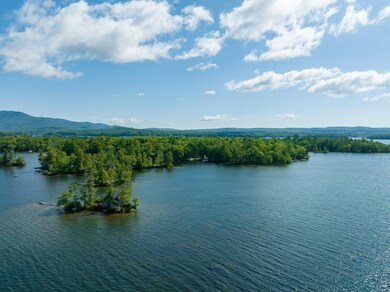 52 Whortleberry Island, Tuftonboro, NH 03816 - photo 2
