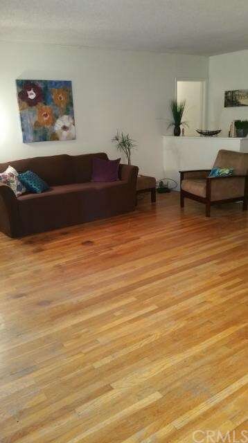 Large open living room with tons of light and a fi