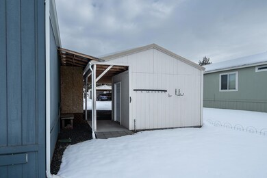 Back of Shed