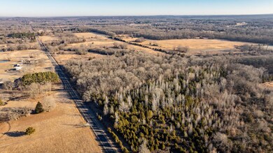 Tract 9 Rooster Rd, Conway, AR 72032 - photo 4
