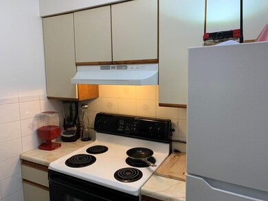 59 Msgr Patrick j Lydon Way unit 204, Dorchester Center, MA 02124 - photo 3