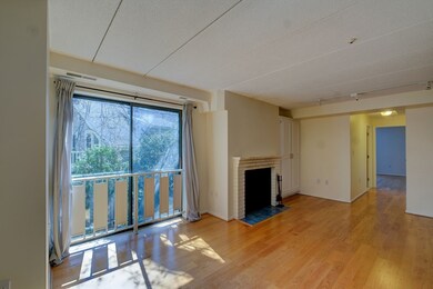 17 Healey St unit 302, Cambridge, MA 02138 - photo 7
