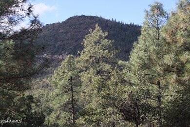 000 Sundown Ln unit 104, Pine, AZ 85544 - photo 5