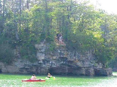 1 Long Point Dr, Rock Island, TN 38581 - photo 3