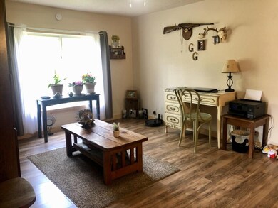 11552 N Bingham Ave, Bitely, MI 49309 - photo 4