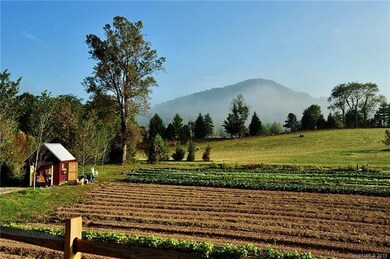 11 Walnut Valley Pkwy unit 9, Avery Creek, NC 28704 - photo 6