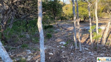 16210 Brazos Ct, Temple, TX 76502 - photo 4