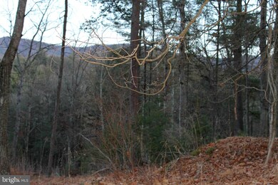 0 N Mountain Rd unit WVHD105740, Wardensville, WV 26851 - photo 2