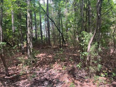 View of wooded area