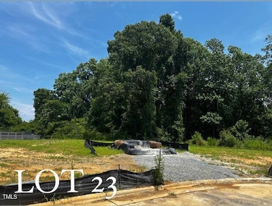 Lot 23