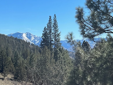 52960 Cummings Creek Rd, Mount Vernon, OR 97865 - photo 2