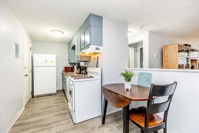 381 Hildreth St unit 106, Lowell, MA 01850 - photo 4