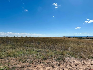 TBD Lot 1 C R 116, Hesperus, CO 81326 - photo 2