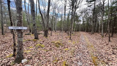 Lot 18.3 Treetops Trail, Mamakating, NY 12721 - photo 3
