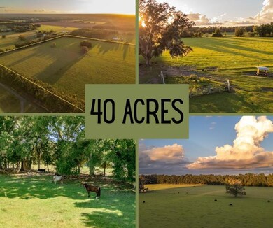 0 SW 80th St, Trenton, FL 32693 - photo 2