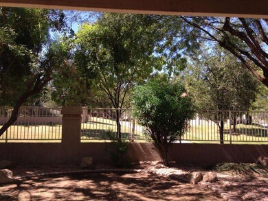 Backyard View