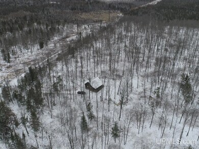 120 Acres Off County Sk Rd, Cornell, MI 49818 - photo 7