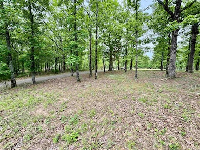 151 Stone Mountain Rd, Conway, AR 72032 - photo 2