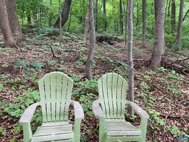 0 Barrow Ln unit 655216, Stanardsville, VA 22973 - photo 5