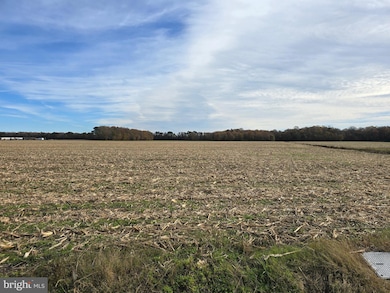 0 Richardson Rd, 14, Willards, MD 21874 - photo 3