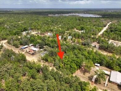 0 Patch St, Interlachen, FL 32148 - photo 4