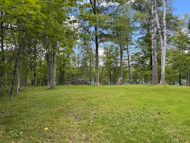 27001 Fawn Ln, Palisade, MN 56469 - photo 3