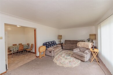 Living room featuring light colored carpet