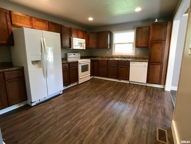 129 S Shaw St, Harrisburg, IL 62946 - photo 6