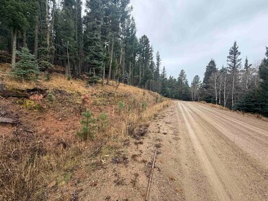 Lot 29 San Andres Terrace, Angel Fire, NM 87710 - photo 3