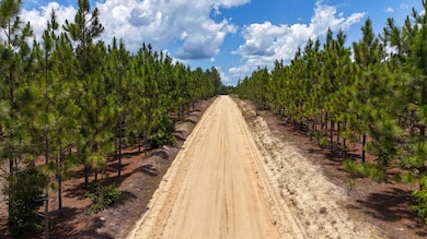 0 Beaver Dam Rd unit 25030817, Cassatt, SC 29032 - photo 2