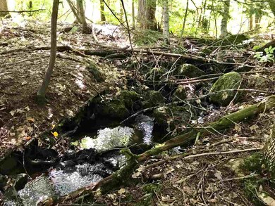 0 County Rd unit Map 2 Lot 5 4720056, Hillsborough, NH 03244 - photo 7