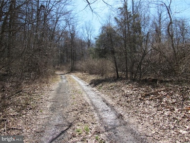 0 Shady Ln unit 1000346252, Mohnton, PA 19540 - photo 2