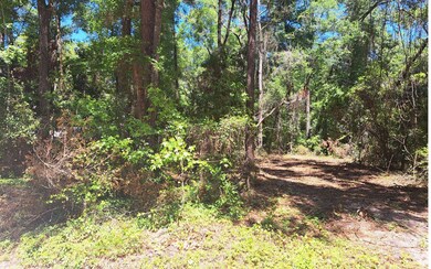 4359 288th St, Branford, FL 32008 - photo 6