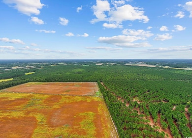 TBD Riverbend Rd, Loris, SC 29569 - photo 4