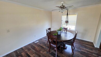 Dining room featuring ornamental molding, a textured ceiling, dark wood-style flooring, and ceiling fan