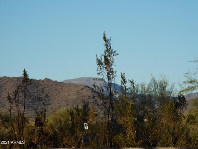 backyard view